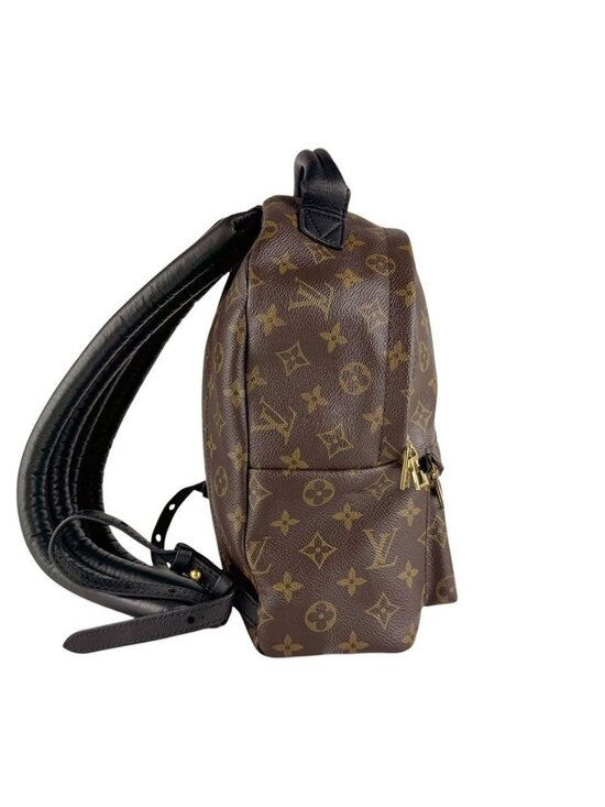 Louis Vuitton Palm Springs Backpack PM main image 4